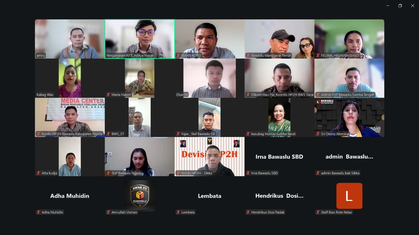 zoom Meeting P2P